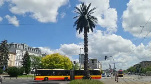 De Gaulle bez ronda, palma na bok. Kiedyś tramwaje na Nowym Świecie?