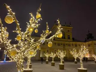 Królewski Ogród Światła w Wilanowie 