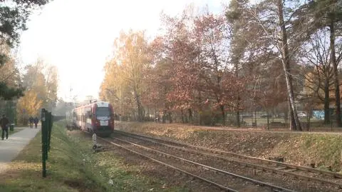 Mieszkańcy ostro o wycince setek drzew przy WKD. "To zabije nasze miasteczka"