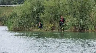 Akcja strażaków nad stawem w Natolinie