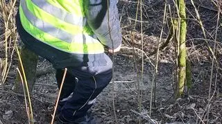 Wnyki rozstawione nad Wisłą w Łomiankach