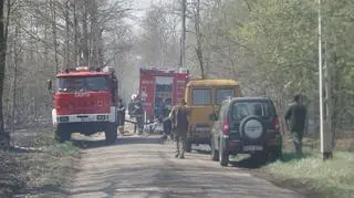 Pożar w Puszczy Kampinoskiej