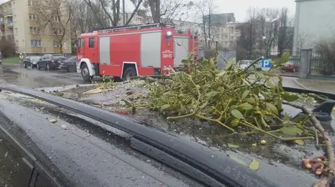 Drzewo uszkodziło samochód na Woli