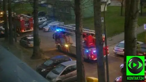 Pożar w klinice weterynaryjnej. Ewakuacja gryzoni