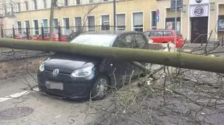 Na Św. Barbary drzewo uszkodziło parking i samochody