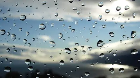 Wiatr do 80 km/h "Może łamać gałęzie"