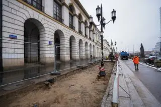 Pierwsze prace przygotowawcze do przedłużenia szpaleru drzew na placu Bankowym 