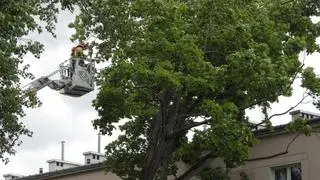 Akcja straży pożarnej na Gagarina 