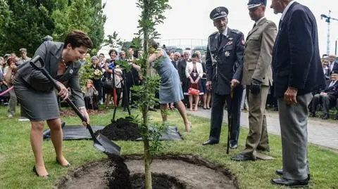 "Silny jak dąb - nasze pokolenie musiało być takie silne"