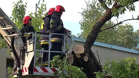 fot. Lech Marcinczak/tvnwarszawa.pl