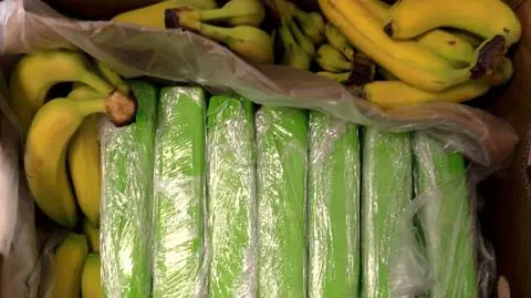 Kokaina warta kilkadziesiąt milionów w bananach. Znaleźli narkotyki w sklepach popularnej sieci
