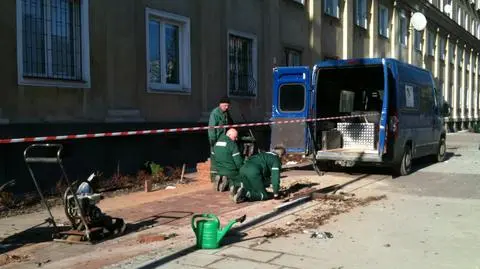 Wiosenne porządki na Chłodnej