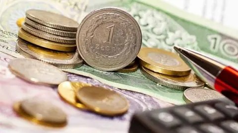 Budżet obywatelski: już 31 tys. głosów. "Najwięcej na Mokotowie"