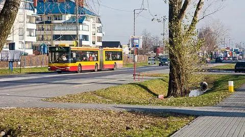 "Rażąco niskie ceny" w przetargu na Łodygową