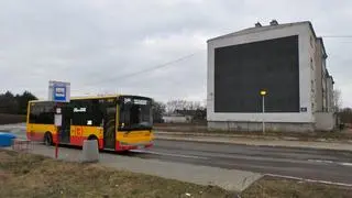 Na Dudziarską wciąż kursuje linia 245