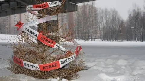 "Zabezpieczyli" studzienkę starą choinką