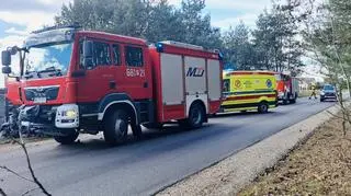 Po zderzeniu ze zwierzyną leśną, dwie osoby trafiły do szpitala