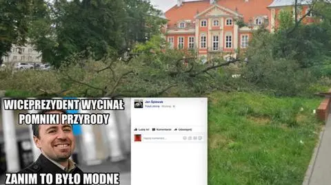 Śpiewak: ratusz chciał zdjęcia ochrony z pomnika przyrody