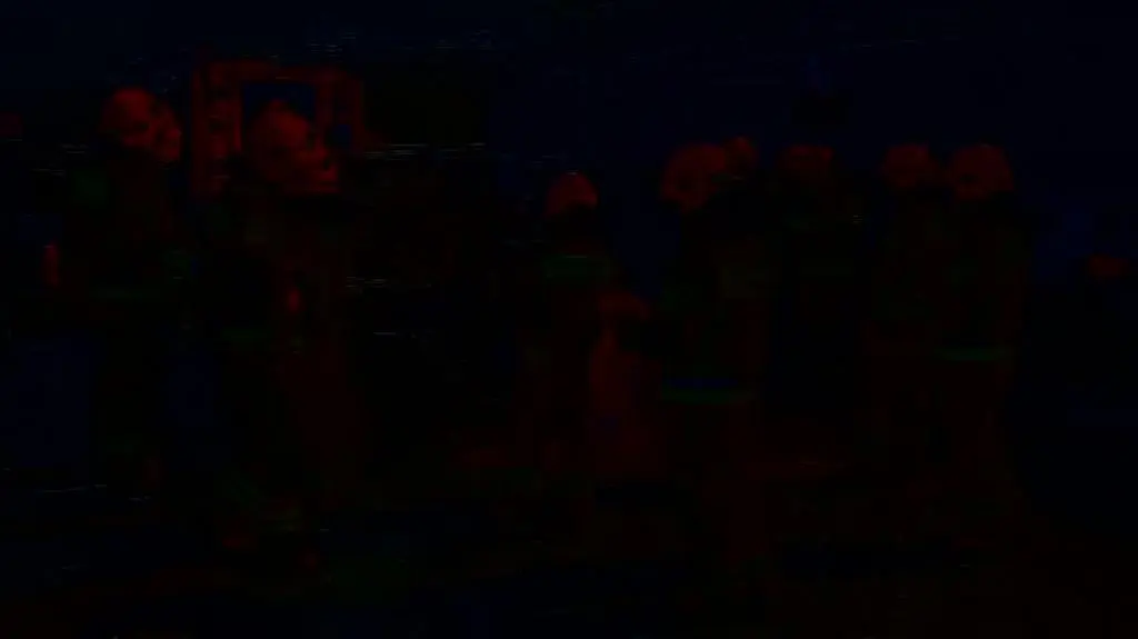 dachowanies8