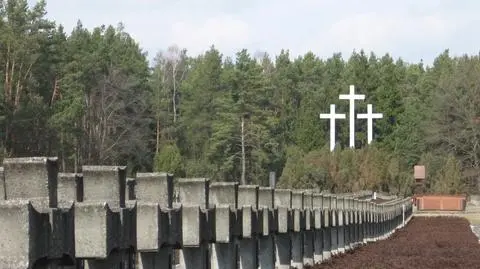 Noc muzeów bez Palmir