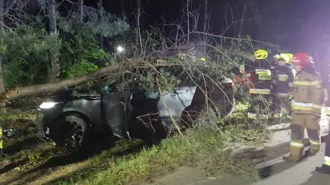 Kierowca SUV-a uderzył w drzewo, to złamało się i spadło na dach auta