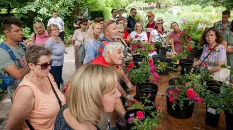 "Tworzenie miejsc pełnych zieleni jest okazją do spotkań"