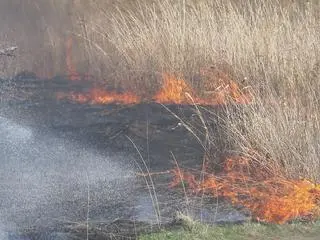 Pożar traw w Markach