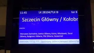 Wykolejenie pociągu na Dworcu Centralnym