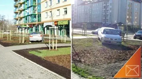 Trawnik czy parking?