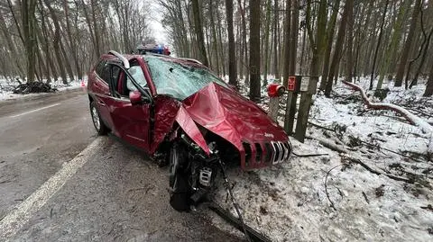 Uderzył w drzewa i hydrant