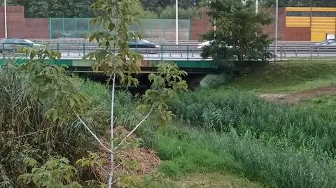 Rowerzysta zauważył zwłoki kobiety w wodzie