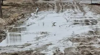 Tramwaj do Wilanowa. Prace na odcinku