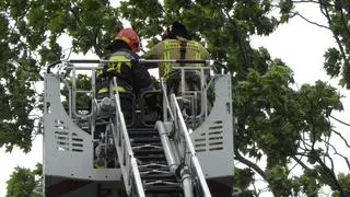 Akcja straży pożarnej na Gagarina 