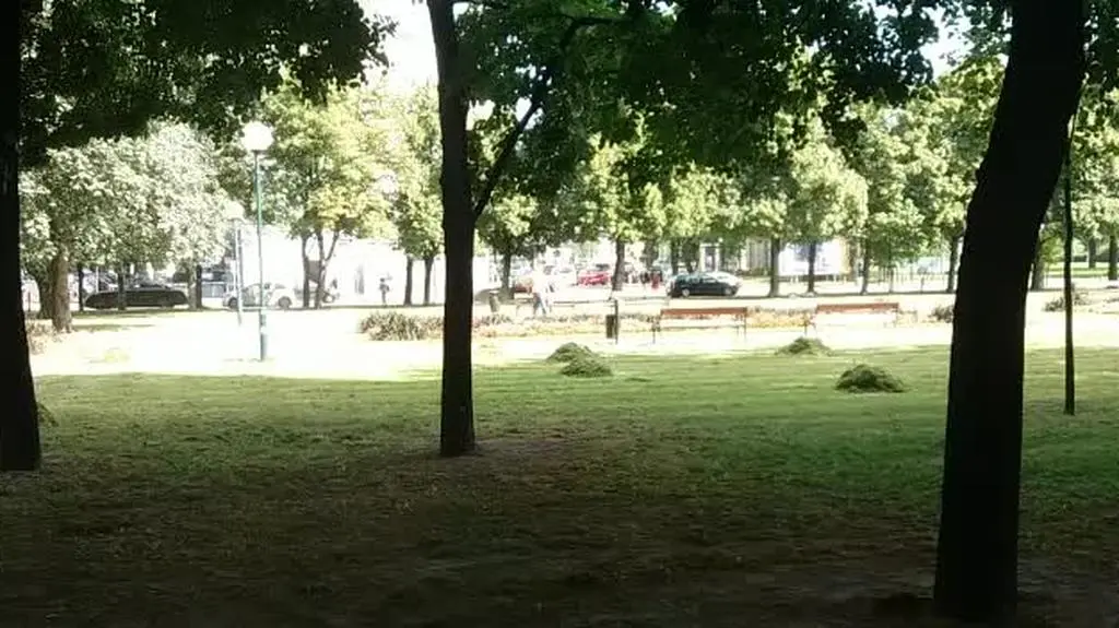 WhatsApp Video 2020-07-27 at 21