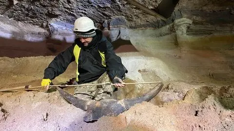 Na budowie metra odkopali poroże. "Co rusz mamy historyczne znaleziska"