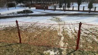 Zmiany w Parku Szczęśliwickim 