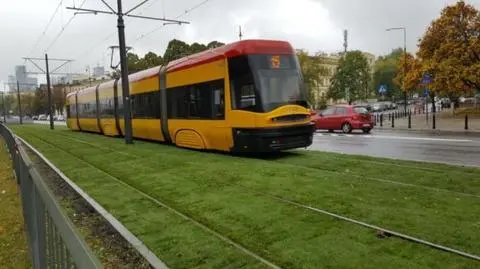 Trawa z rolki na torowisku. "Pierwsza w historii miasta"