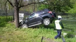 Auto uderzyło w drzewo