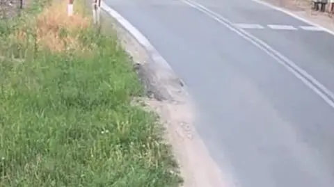 Uderzył w semafor i dachował. Nagranie