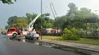 Powalone drzewa przy Powązkowskiej