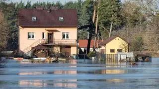 Woda z rzeki Bug podeszła pod gospodarstwa