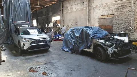 Wpadali jak śliwki w kompot. W "dziupli" witali ich wspólnicy - w kajdankach