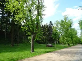 Park Żeromskiego w rejestrze zabytków