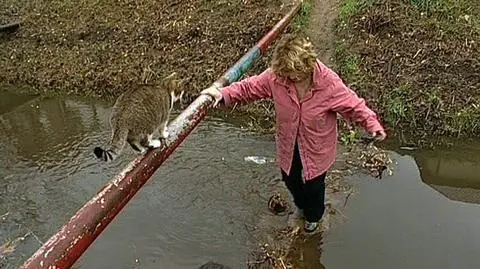 Przejście przez kanałek "Trochę jak w cyrku"