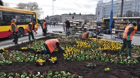 Warszawa rozkwita na wiosnę