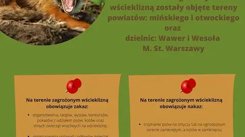 Nowe przypadki wścieklizny u lisów na Mazowszu. Wkrótce ruszy akcja szczepień