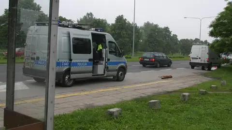 Koziołek potrącony w Wilanowie