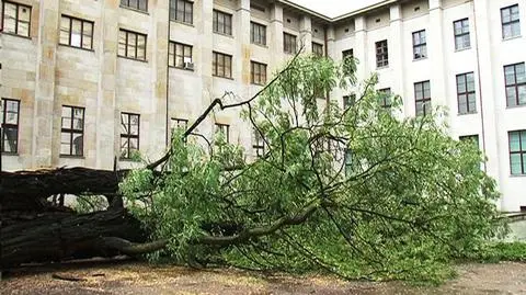 fot. Tomasz Zieliński/tvnwarszawa.pl