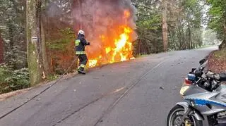 Potrącił idących poboczem pieszych i uderzył w drzewo. Jego auto stanęło w płomieniach