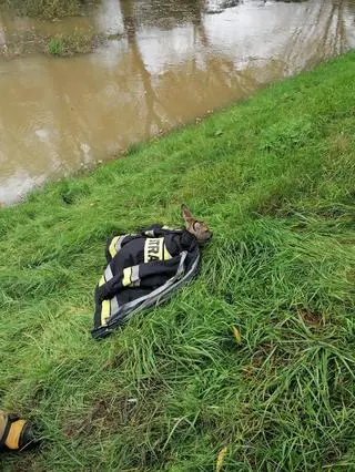 Strażacy pomogli wycieńczonej sarnie